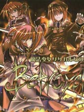 我的魔法少女奈叶妄想版