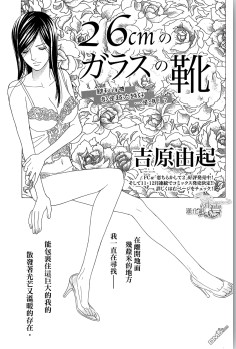 26cm的玻璃鞋